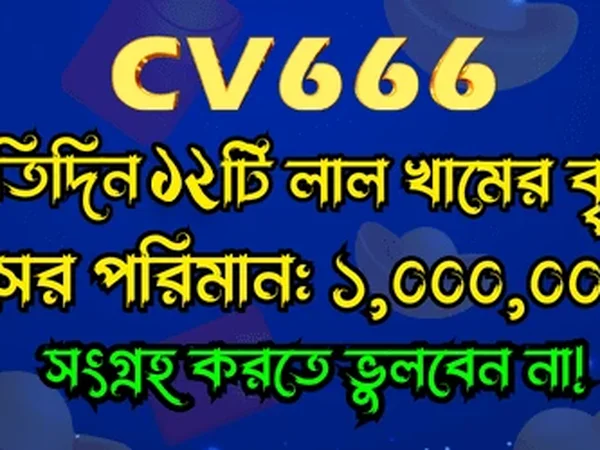 CV666's trusted payment options: bKash, Nagad, and Rocket.